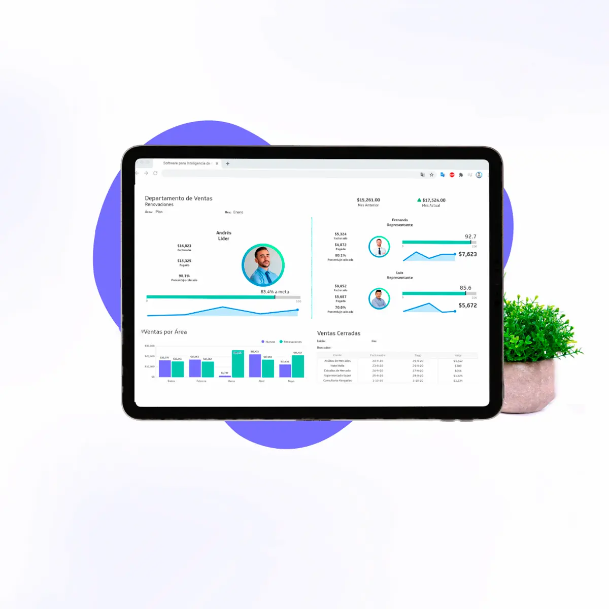 diseño de paginas web en lima